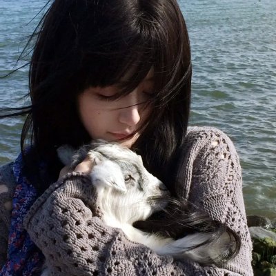 间谍过家家第二季 海报