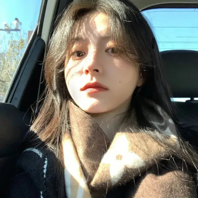 几度菊花香 海报